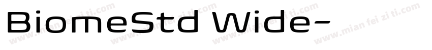 BiomeStd Wide字体转换